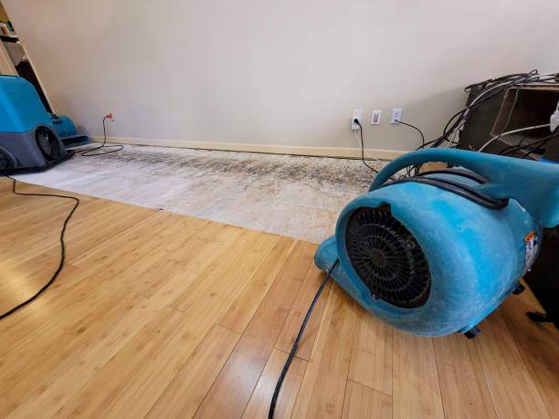 Professional Sewage Cleanup technician working in Mamaroneck, NY